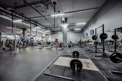 Well Fitness - Legnica, Galeria Ferio